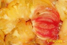 tomates-ananas04.jpg