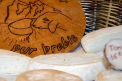 fromages,brebis,cerdagne,vache,conflent,roussillon,pyrénées orientales