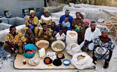 afrique,céréales,alimentation,mil,riz,cuisine