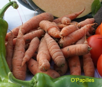 carottes-mini.jpg