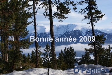 bonne-annee-2009.jpg