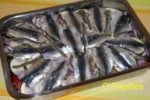 tian-sardines03.jpg