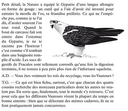 hulotte-vautours02.png